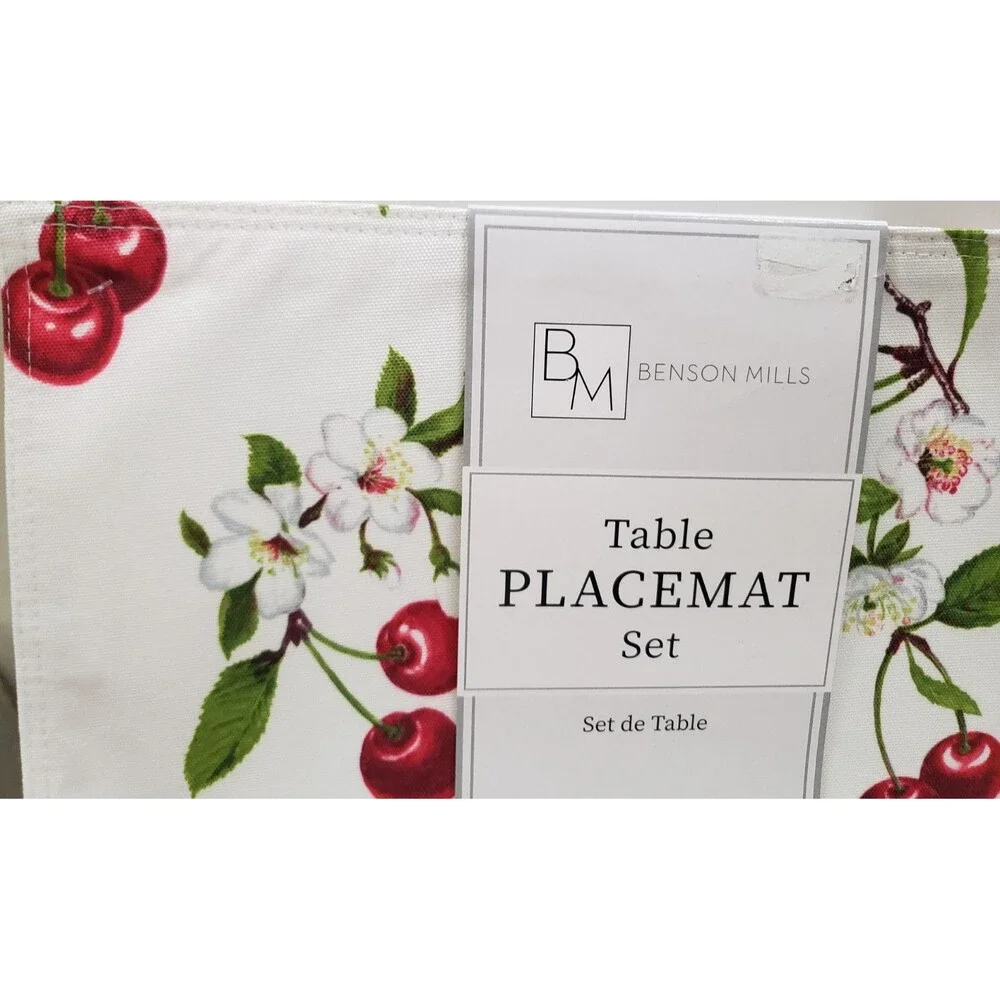 Set of 4 Same Reversible Fabric Placemats (13